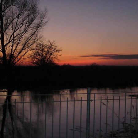 Pension "Zum Schwan" Muhr am See Экстерьер фото